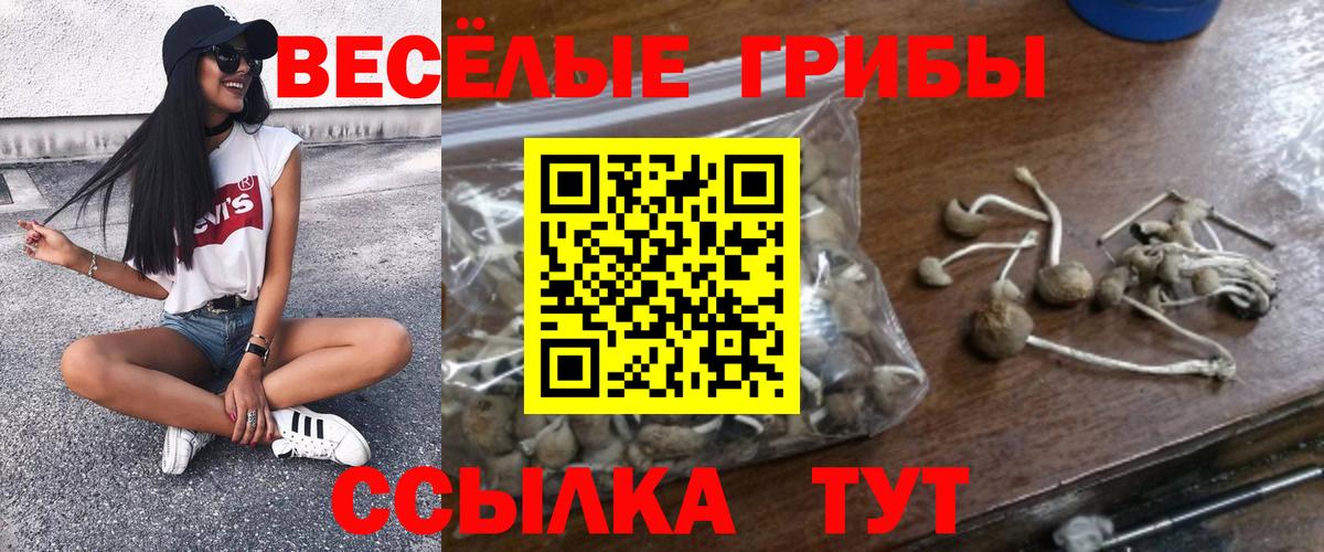 ГАШ Королёв
